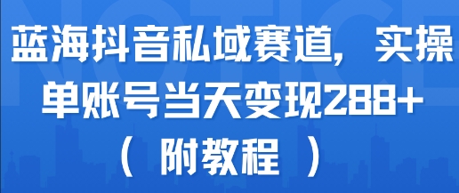 蓝海抖音私域赛道，实操单账号当天变现288+(附教程)-hl998