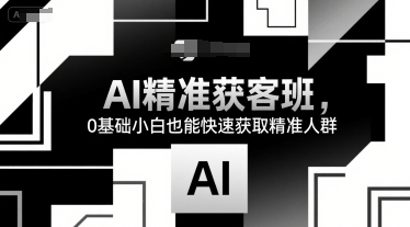 AI精准获客班，0基础小白也能快速获取精准人群-hl998