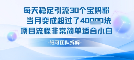每天稳定引流30个人 当月变成超过了4个W项目流程非常简单适合小白-hl998