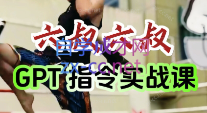 六叔的AI指令实战课(更新7月)-hl998