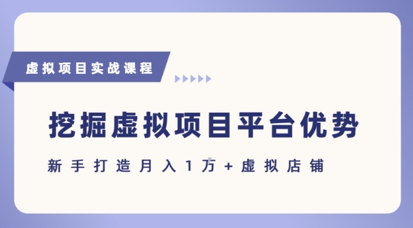 抓住虚拟项目各平台优势，新手轻松月入1W+(给出具体建议)-hl998