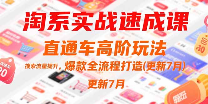 淘系实战速成课，直通车高阶玩法，搜索流量提升，爆款全流程打造(更新7月-hl998