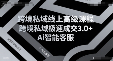 跨境私域线上高级课程，跨境私域极速成交3.0+Ai智能客服-hl998