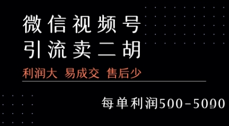视频号卖二胡教程，利润大 易成交 售后少，一单利润5张+-hl998