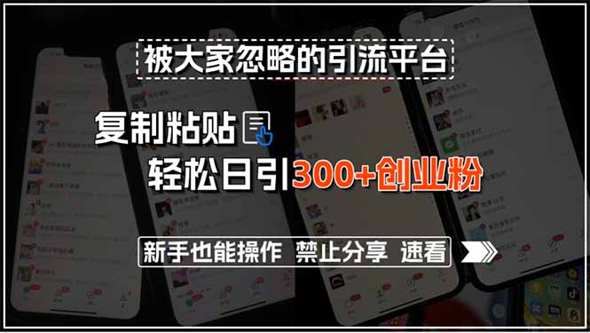 被大家忽略的引流平台，复制粘贴轻松日引300+创业粉，新手也能操作，禁...-hl998