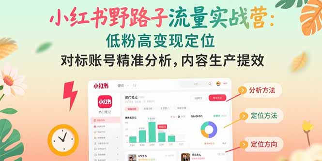 小红书野路子流量实战营：低粉高变现定位 对标账号精准分析 内容生产提效-hl998