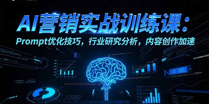AI营销实战训练课：Prompt优化技巧，行业研究分析，内容创作加速-hl998