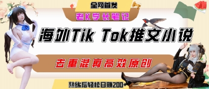 海外tiktok小说推文暴力项目，高停留率，高转化率，上手后一天搞顿饭钱不是问题-hl998