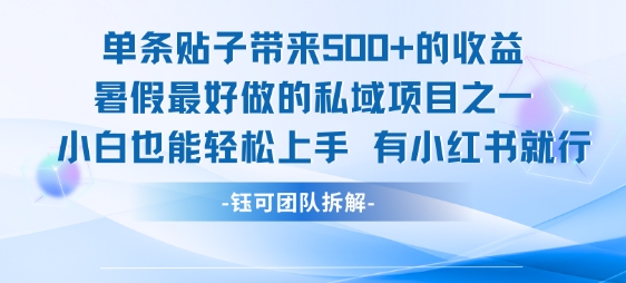 单条贴子带来5张的收益，暑假最好做的私域项目之一，小白也能轻松上手，有小红书就行-hl998