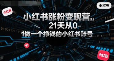 小红书涨粉变现营，21天从0-1做一个挣钱的小红书账号-hl998