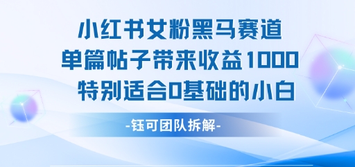 小红书女粉黑马赛道单篇帖子带来收益1k+，特别适合0基础的小白-hl998