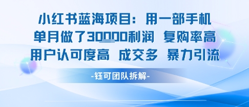 小红书蓝海项目，一部手机单月做了3W利润，小白也能月入过1W用户认可度高成交多-hl998