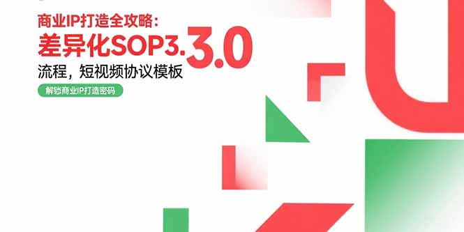 商业IP打造全攻略：差异化SOP3.0流程，短视频协议模板，婚恋项目实战案例-hl998