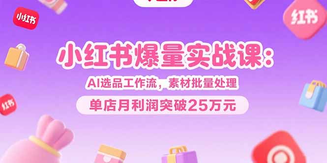小红书爆量实战课：AI选品工作流，素材批量处理，单店月利润突破25万元-hl998