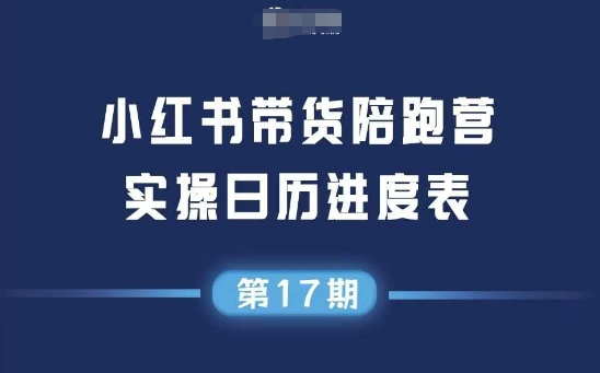 小红书第17期带货陪跑营，不囤货，无不直播，无不投流，通过选品+笔记内容+测品+笔记铺量+矩阵运营打爆款-hl998