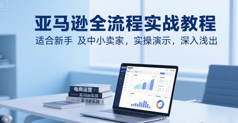 亚马逊全流程实战教程，适合新手及中小卖家，实操演示，深入浅出-hl998