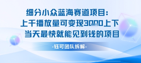 小众蓝海赛道项目：当天变现1k+适合新手操作 +适合长期玩-hl998