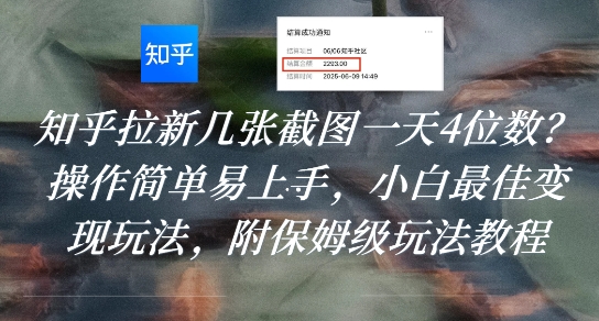 知乎拉新几张截图一天4位数？操作简单易上手，小白最佳变现玩法，附保姆级玩法教程-hl998