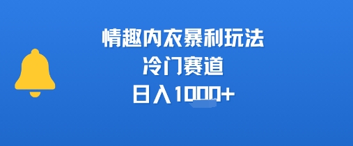 情趣内衣暴利玩法，冷门赛道，日入1k+-hl998
