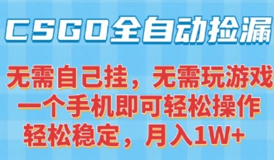 CSGO自动捡漏项目，最新独家玩法，一个手机可操作，新手小白轻松月入1W+，操作简单易上手【揭秘】-hl998