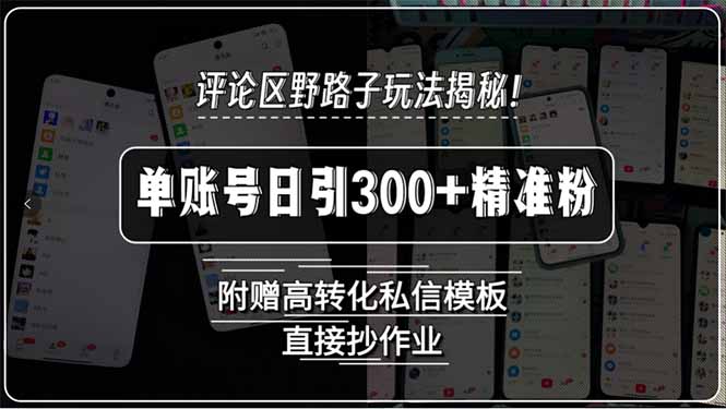 评论区野路子玩法揭秘！单账号日引300+精准粉，附赠高转化私信模板，直...-hl998