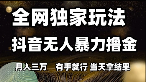 全网独家玩法抖音无人暴力撸金，月入3W，有手就行，当天拿结果【揭秘】-hl998