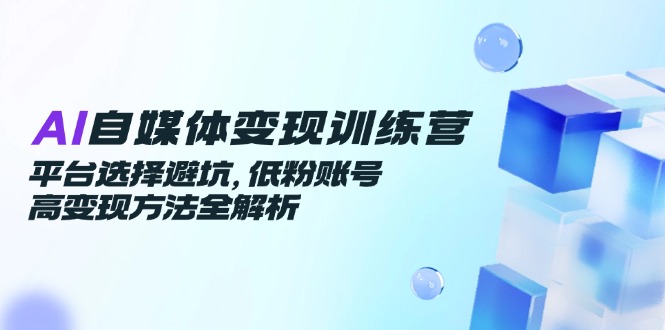 AI自媒体变现训练营，平台选择避坑，低粉账号高变现方法全解析-hl998