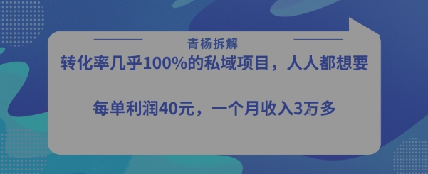 转化率最高的私域项目，每单利润40-50米，月入过1w-hl998