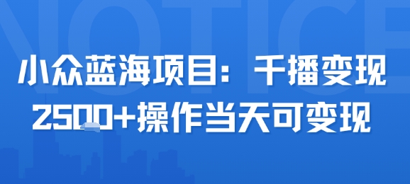 小众蓝海项目，千播变现2.5k+操作当天可变现-hl998