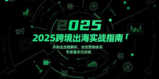 2025跨境出海实战指南，并购全流程解析，自创营销体系，专家基本功训练-hl998
