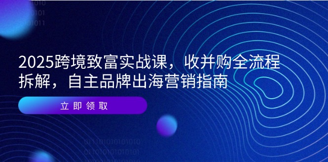 2025跨境致富实战课，收并购全流程拆解，自主品牌出海营销指南-hl998