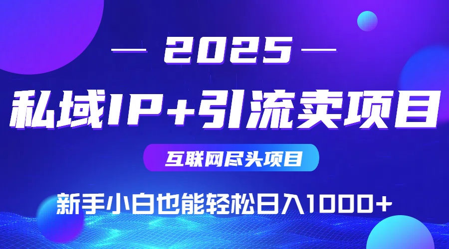 2025网创尽头项目，私域IP+引流，新手小白也能在家日入1000+-hl998