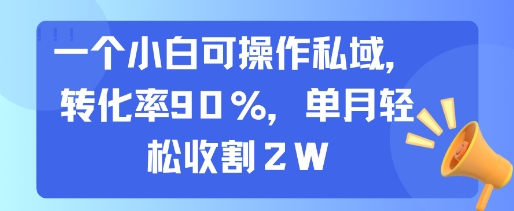 一个小白可操作私域，转化率90%，单月轻松收割2W-hl998