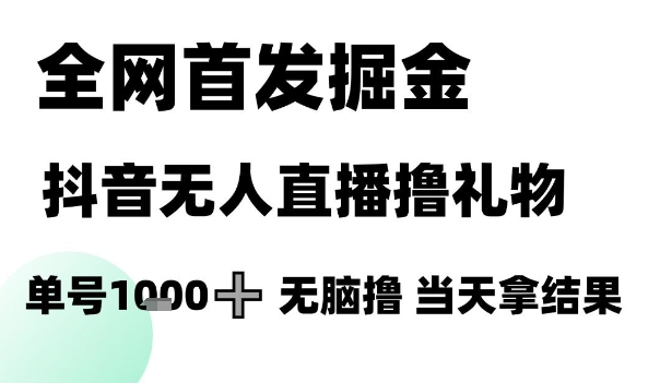 全网首发掘金抖音无人直播撸礼物，单号1k +无脑撸，当天拿结果【揭秘】-hl998