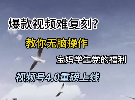 视频号4.0重磅上线，爆款视频难复刻？教你无脑操作宝妈学生党的福利【揭秘】-hl998