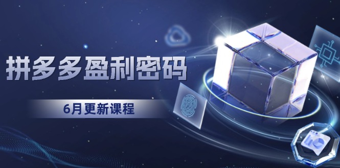 拼多多盈利密码：从烧钱推广到印钞模型，底层逻辑重构指南(6月更新-hl998