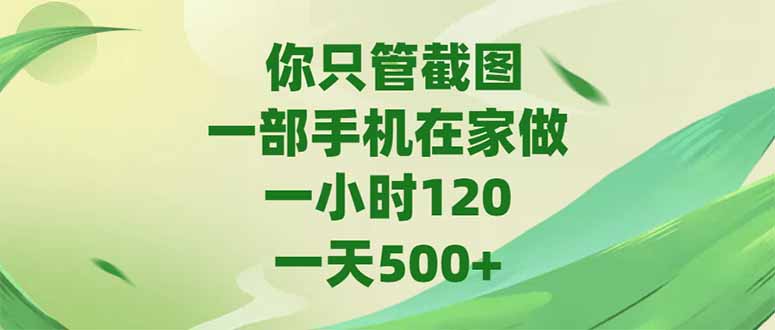 你只管截图，一部手机在家做，一小时120，-天500+-hl998