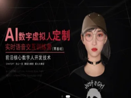 AI数字虚拟人定制，实时语音交互训练营(零基础)，前沿核心数字人开发技术-hl998
