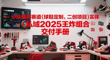 小众暴利赛道(球鞋定制，二创项目)实体+私域2025王炸组合  交付手册-hl998