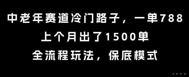 中老年赛道冷门路子，一单788，上个月出了1500单，全流程玩法，保底模式【揭秘】-hl998