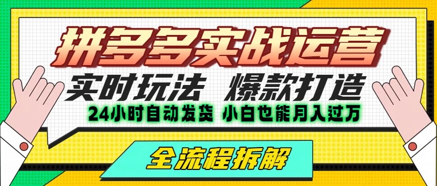 拼多多最新实战运营高投产：长久稳定项目，单店利润一天三位数-hl998