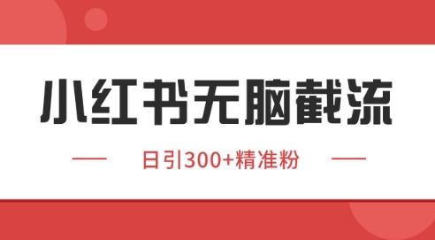 小红书截流同行客源，独家野路子获客玩法 日引200+暴力获客【揭秘】-hl998