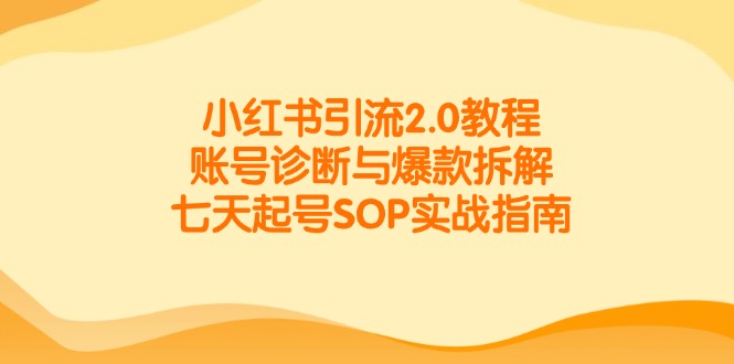 小红书引流2.0教程，账号诊断与爆款拆解，七天起号SOP实战指南-hl998