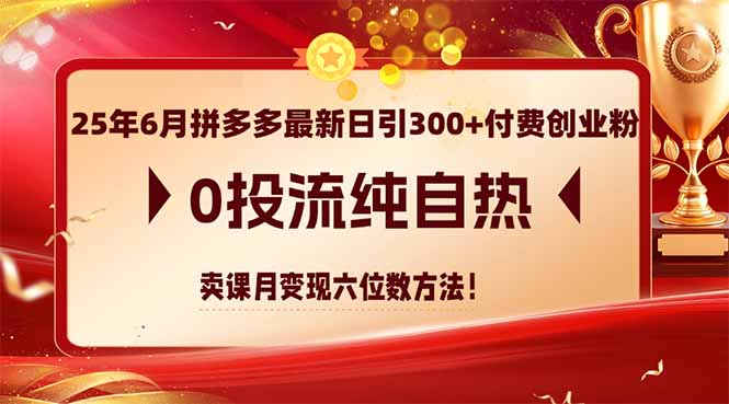 25年6月拼多多最新日引300+付费创业粉，0投流纯自热 卖课月变现六位数方法-hl998