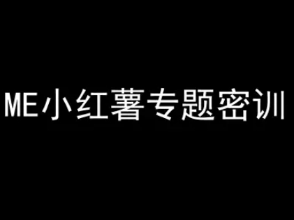 ME小红薯专题密训-小红书电商教程-hl998