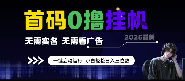 首码0撸挂G项目，无需实名无需看广告 一键启动运行，小白轻松日入三位数【揭秘】-hl998