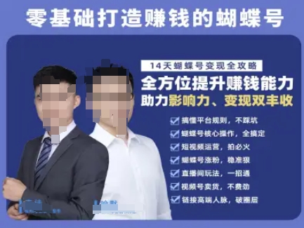 蝴蝶号专栏-视频号运营教程，零基础打造挣钱的蝴蝶号，14天蝴蝶号变现全攻略-hl998
