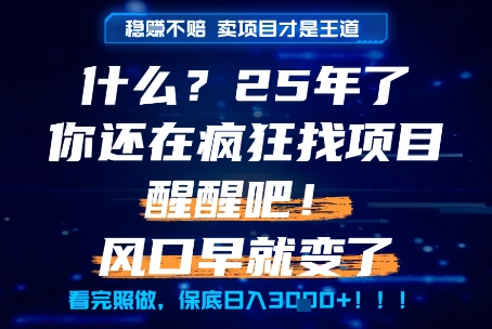 什么？25年你还在疯狂找项目做，醒醒吧，看完这些你全都懂了！【揭秘】-hl998