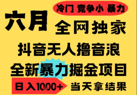 25年6月高爆抖音无人直播最新撸音浪掘金项目，小白可做，无脑日入1k+，门槛低可批量矩阵【揭秘】-hl998