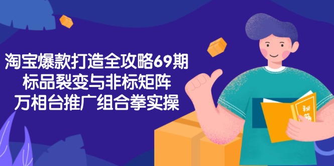 淘宝爆款打造全攻略-69期，标品裂变与非标矩阵，万相台推广组合拳实操-hl998